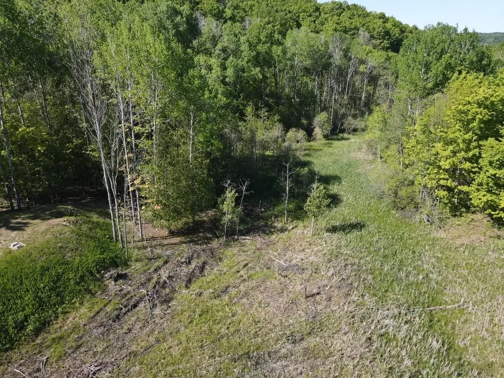Tbd Pesek Road South Arm Township MI 49727