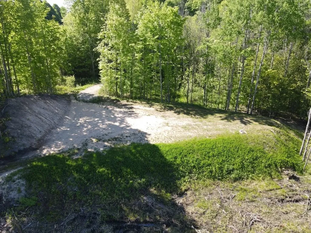 Tbd Pesek Road South Arm Township MI 49727