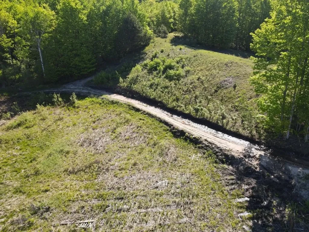 Tbd Pesek Road South Arm Township MI 49727