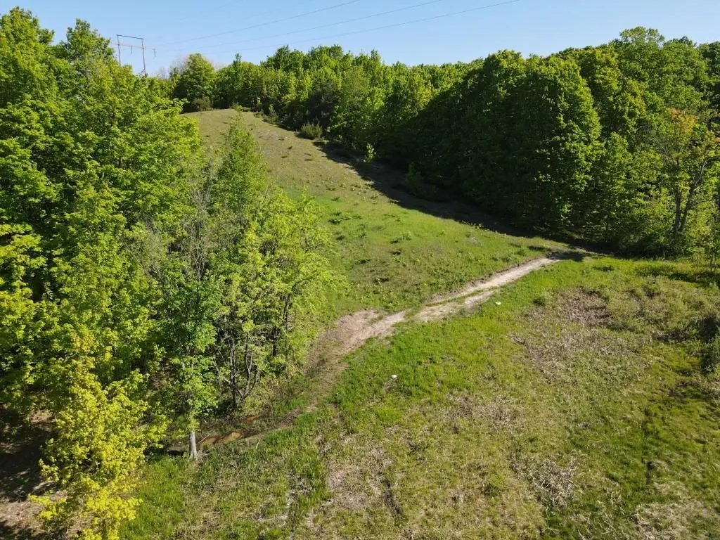 Tbd Pesek Road South Arm Township MI 49727
