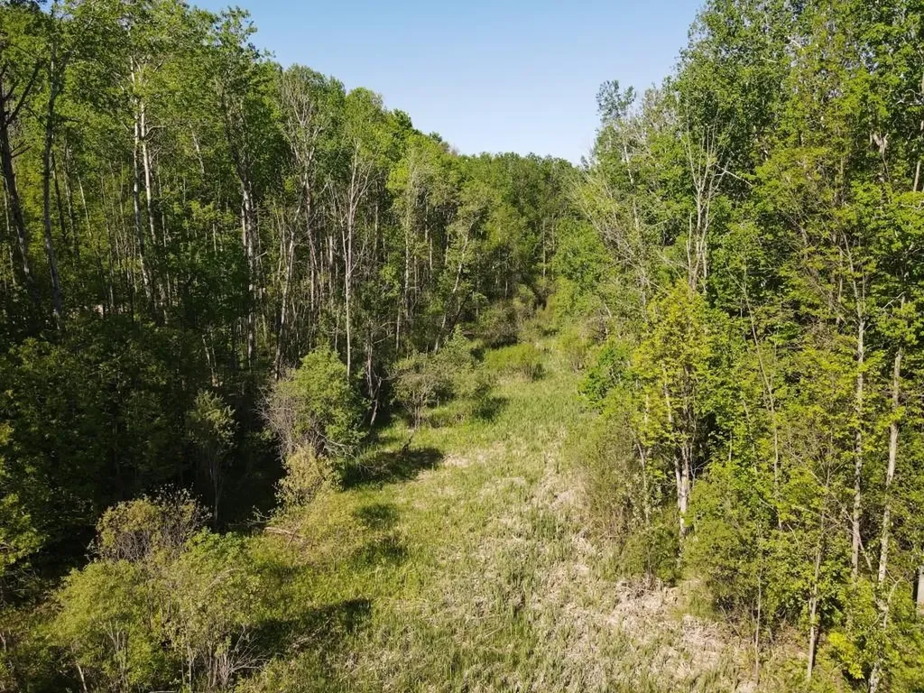 Tbd Pesek Road South Arm Township MI 49727