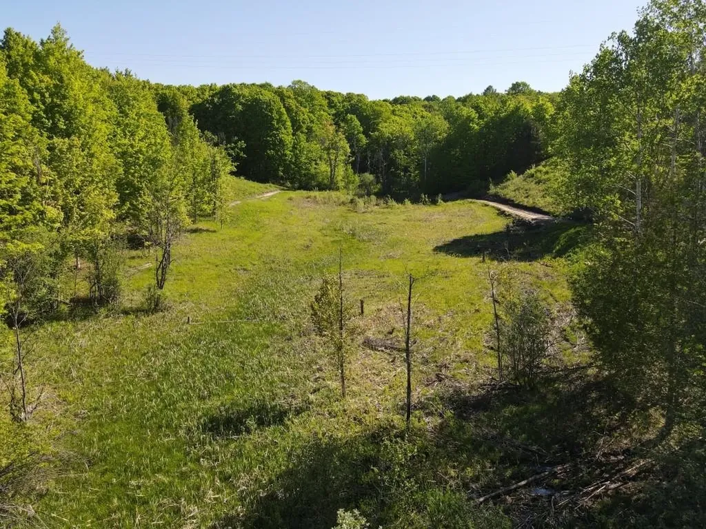 Tbd Pesek Road South Arm Township MI 49727