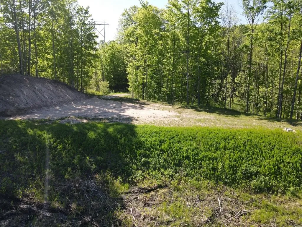 Tbd Pesek Road South Arm Township MI 49727