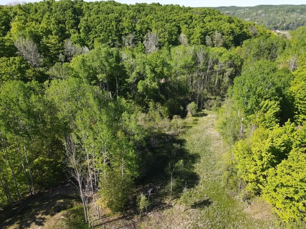 Tbd Pesek Road South Arm Township MI 49727