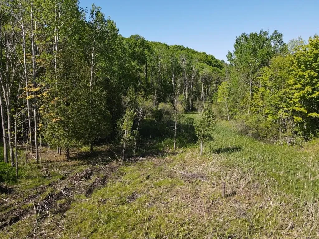 Tbd Pesek Road South Arm Township MI 49727