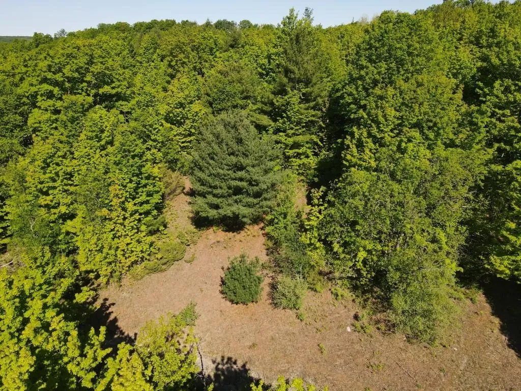Tbd Pesek Road South Arm Township MI 49727