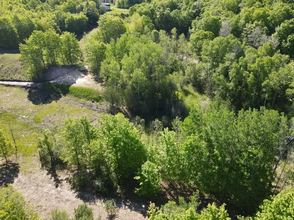 Tbd Pesek Road South Arm Township MI 49727