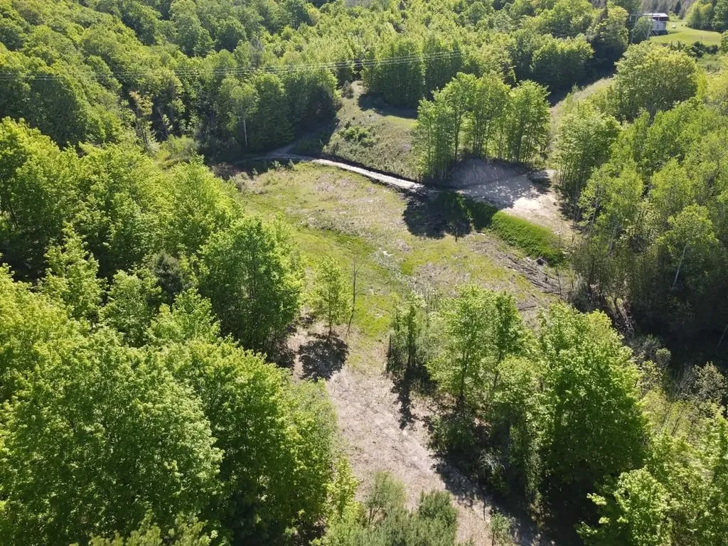 Tbd Pesek Road South Arm Township MI 49727