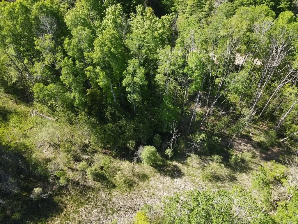 Tbd Pesek Road South Arm Township MI 49727