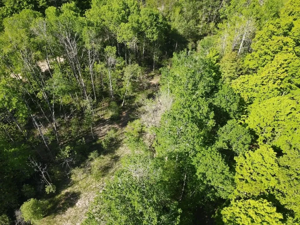 Tbd Pesek Road South Arm Township MI 49727