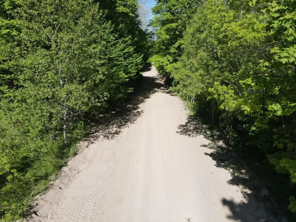 Tbd Pesek Road South Arm Township MI 49727
