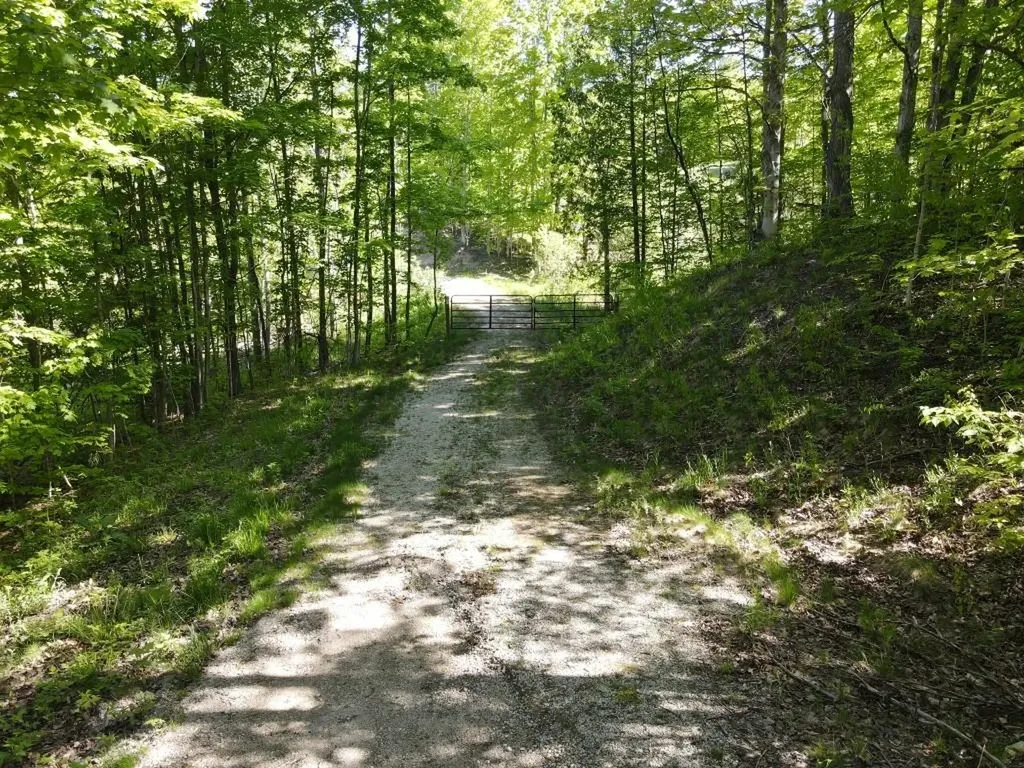 Tbd Pesek Road South Arm Township MI 49727