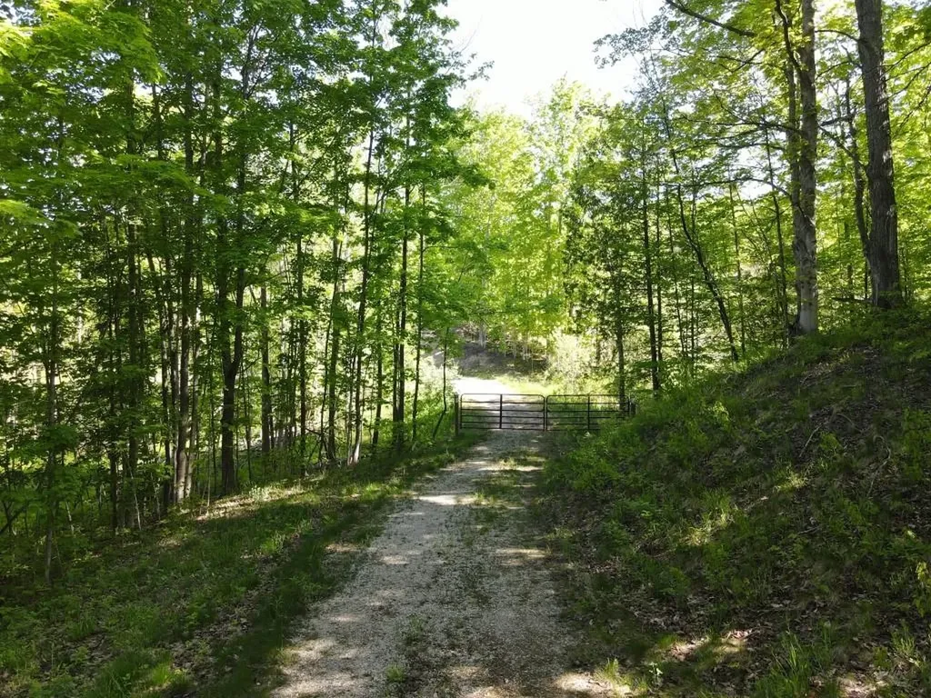 Tbd Pesek Road South Arm Township MI 49727