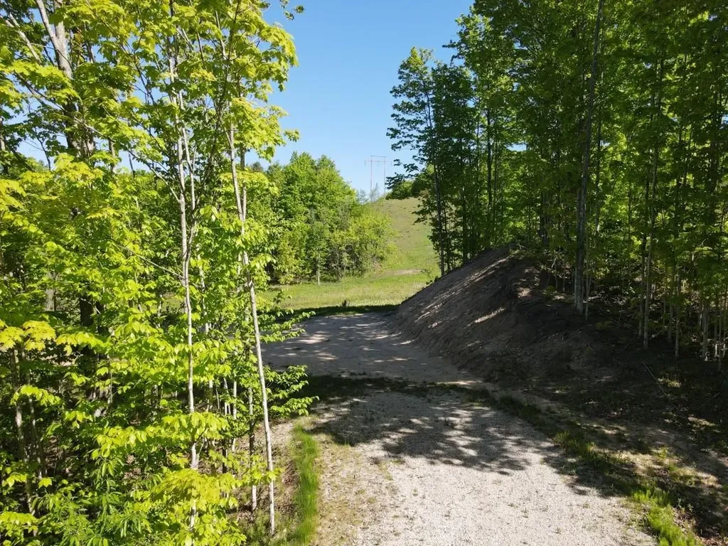 Tbd Pesek Road South Arm Township MI 49727
