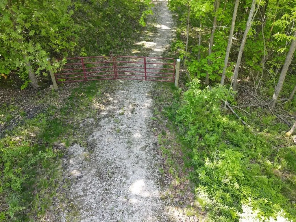 Tbd Pesek Road South Arm Township MI 49727