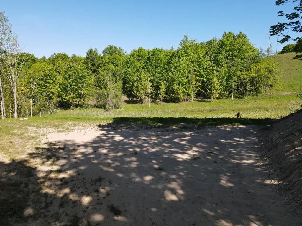Tbd Pesek Road South Arm Township MI 49727