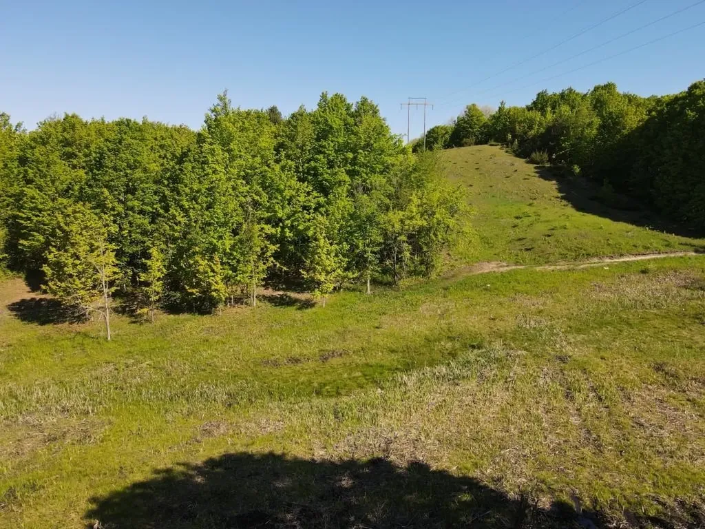 Tbd Pesek Road South Arm Township MI 49727