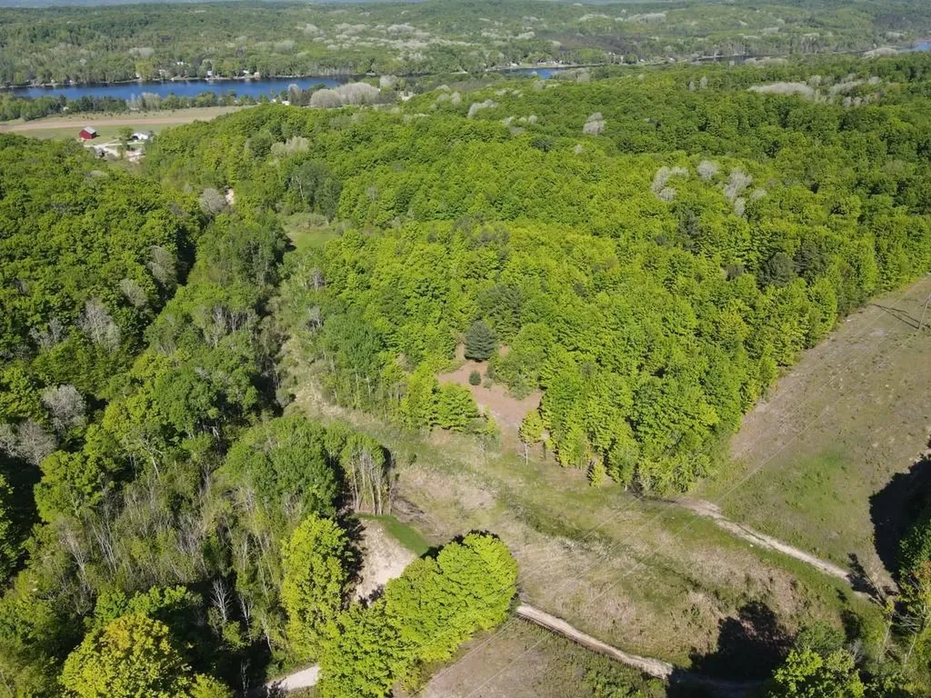 Tbd Pesek Road South Arm Township MI 49727