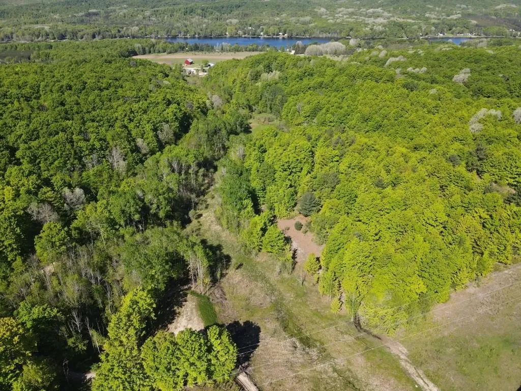 Tbd Pesek Road South Arm Township MI 49727