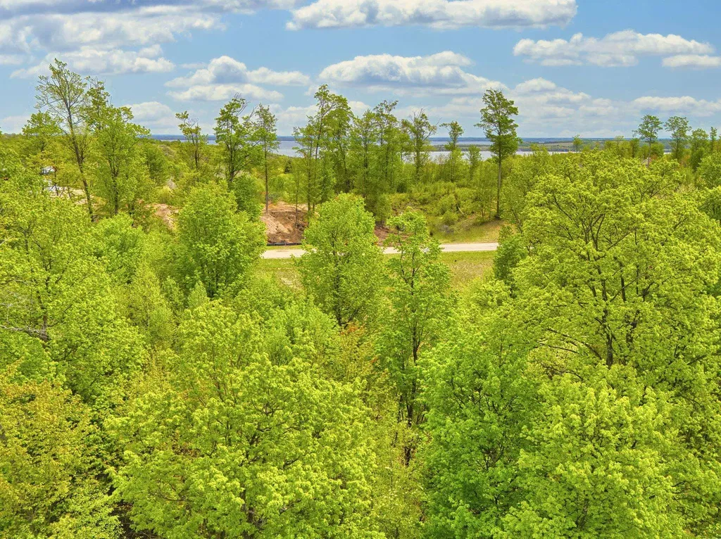 1949 N Blue Water Court Suttons Bay Township MI 49682