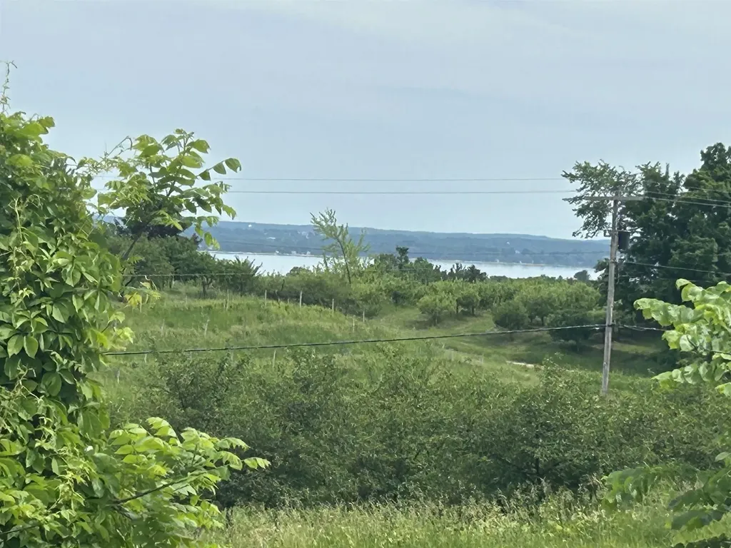 0 Center Road Peninsula Township MI 49686