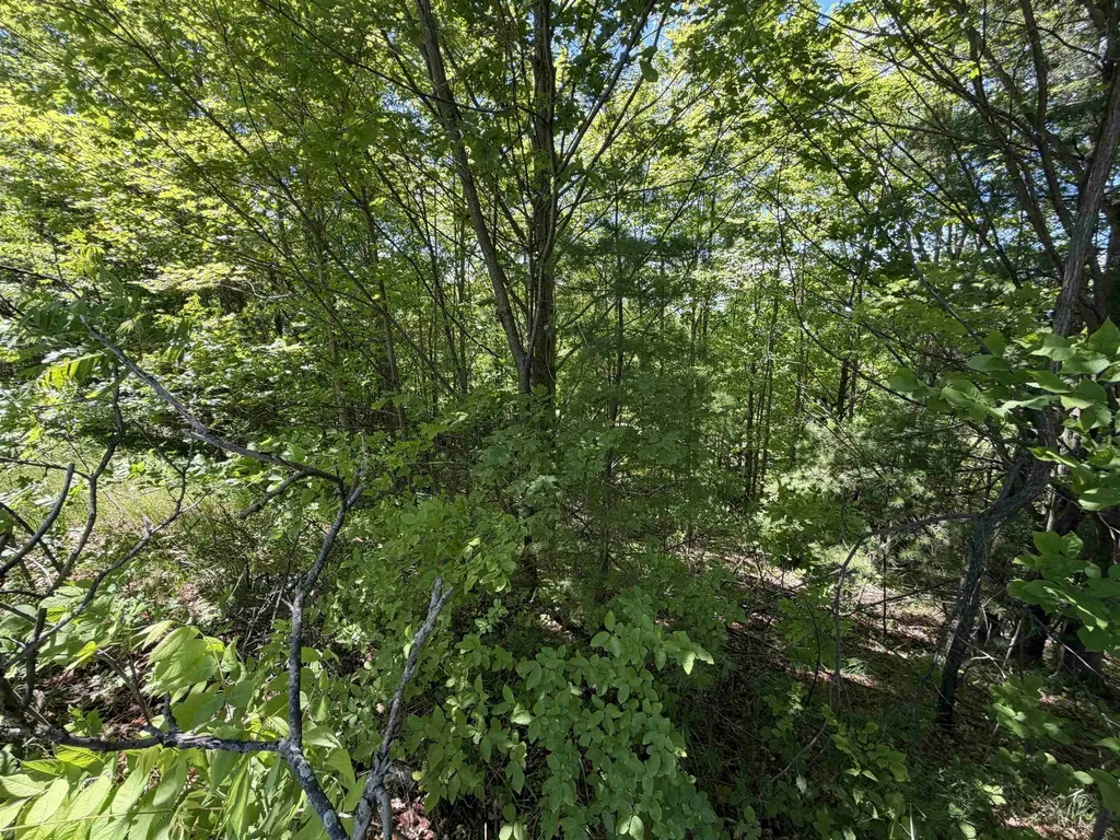 0 Center Road Peninsula Township MI 49686