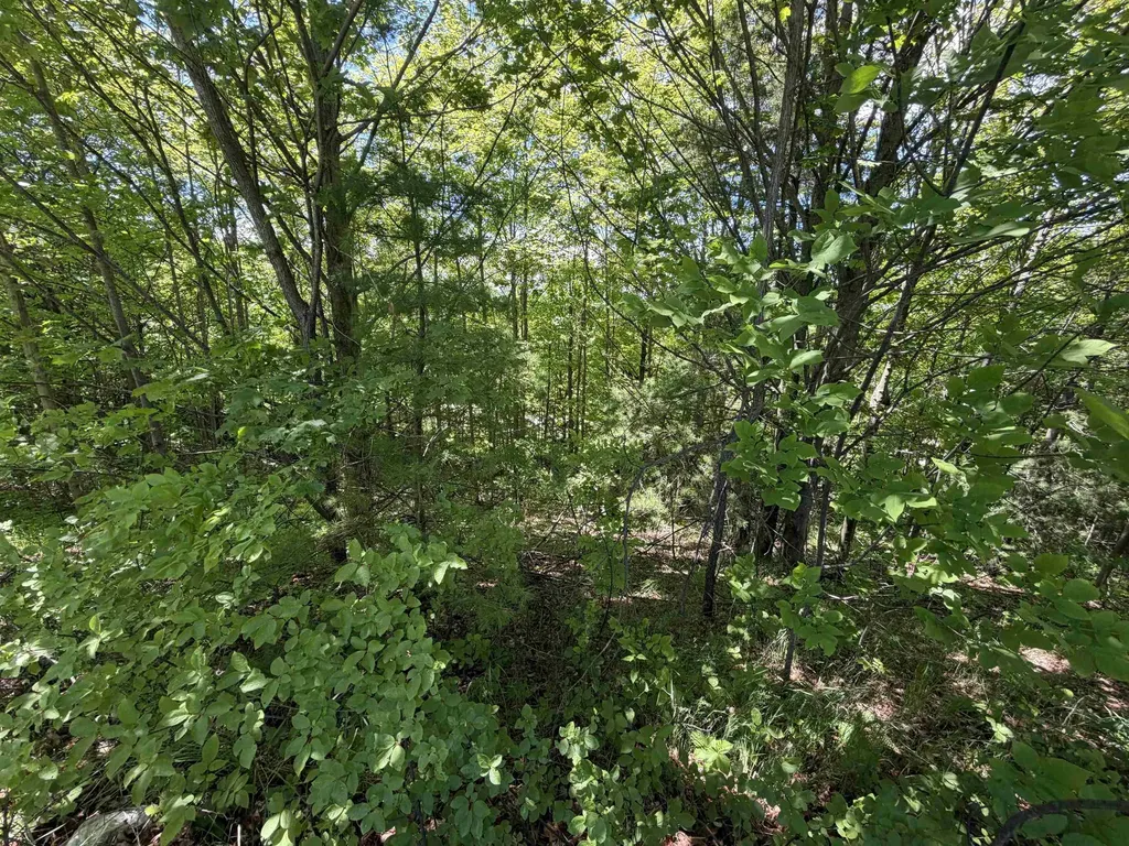 0 Center Road Peninsula Township MI 49686