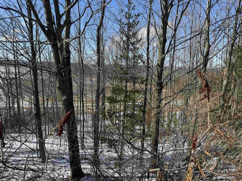 0 Center Road Peninsula Township MI 49686
