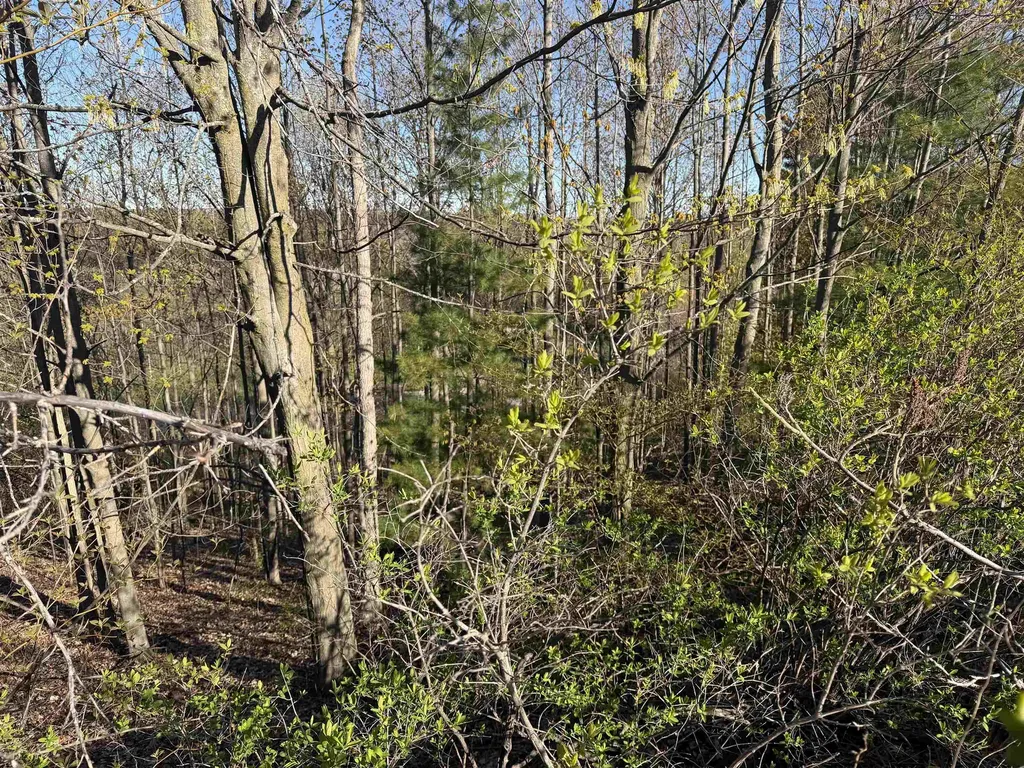 0 Center Road Peninsula Township MI 49686