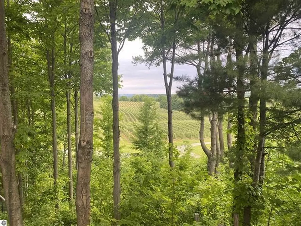 0 Center Road Peninsula Township MI 49686