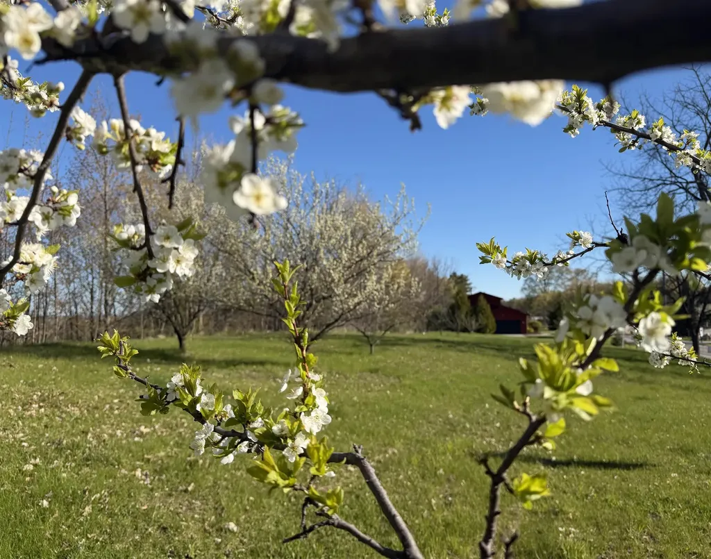 0 Center Road Peninsula Township MI 49686