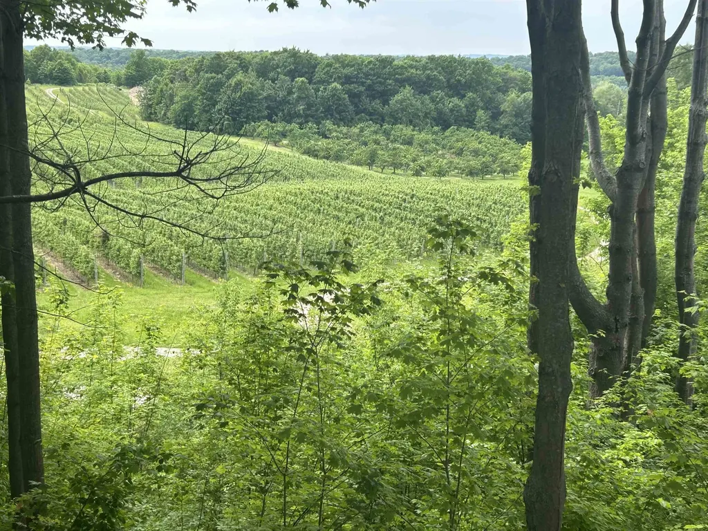0 Center Road Peninsula Township MI 49686
