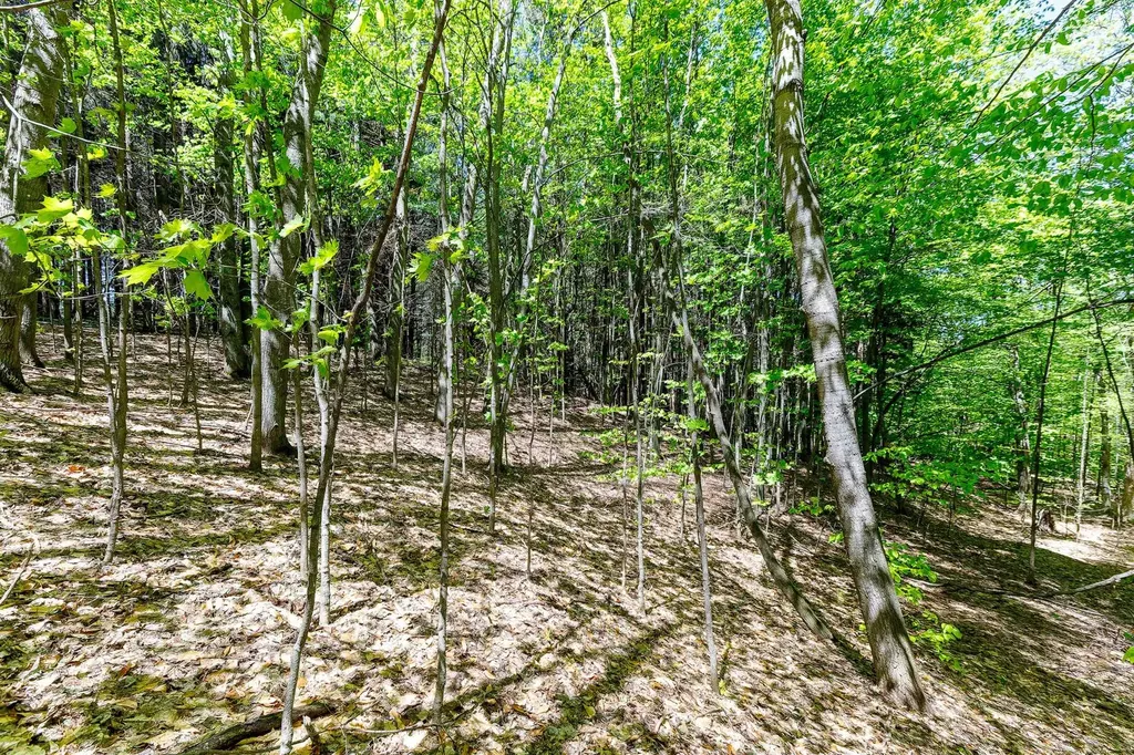 3219 Nugent Road Blaine Township MI 49635