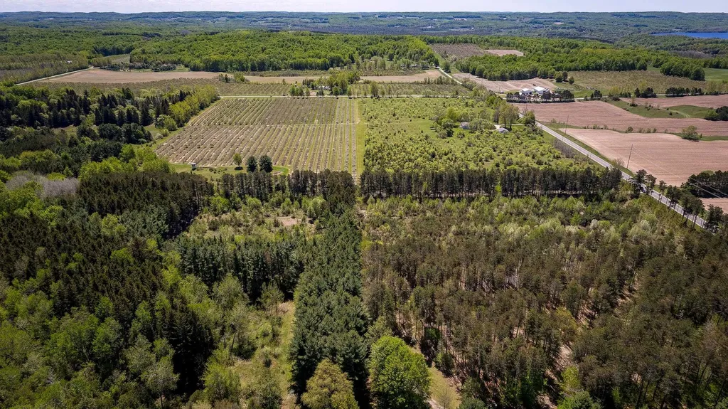 3219 Nugent Road Blaine Township MI 49635