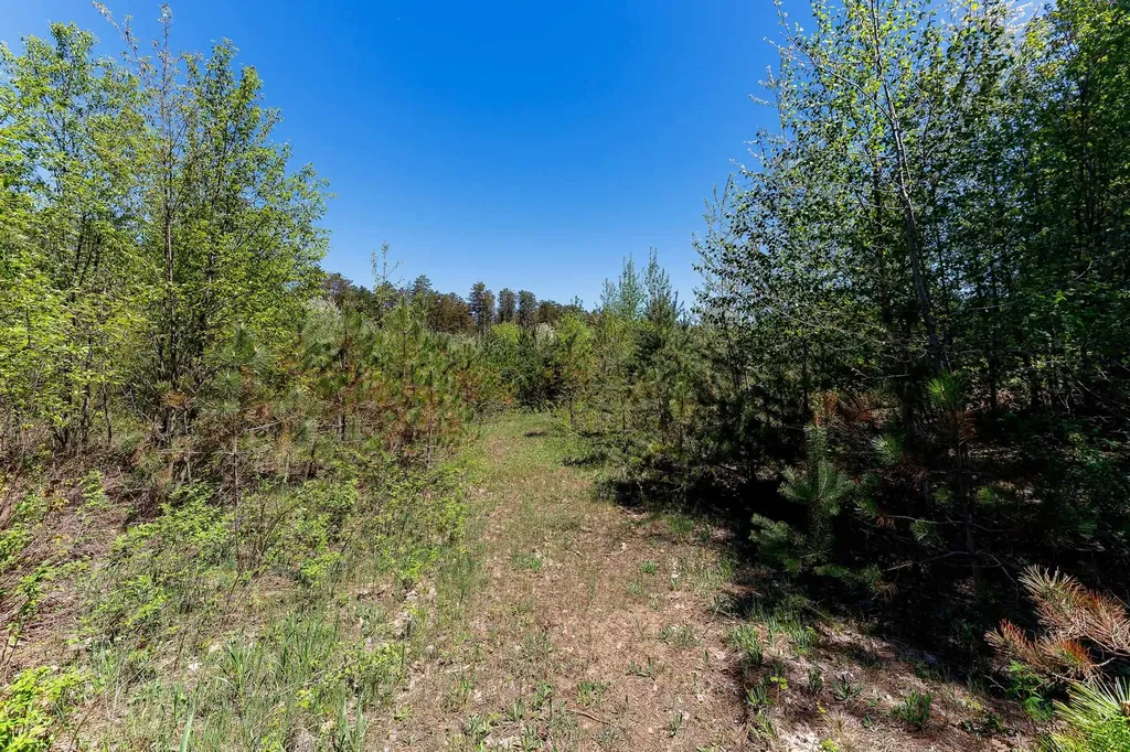 3219 Nugent Road Blaine Township MI 49635
