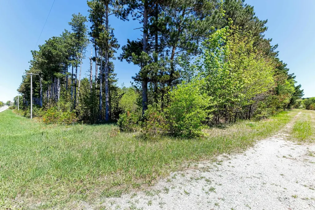 3219 Nugent Road Blaine Township MI 49635
