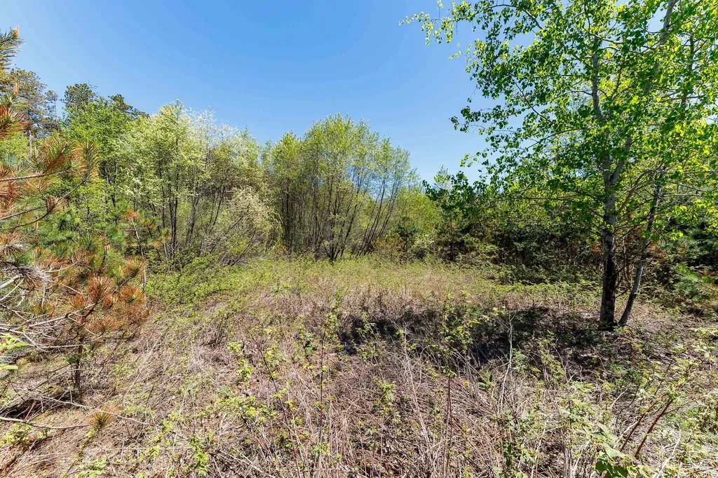 3219 Nugent Road Blaine Township MI 49635