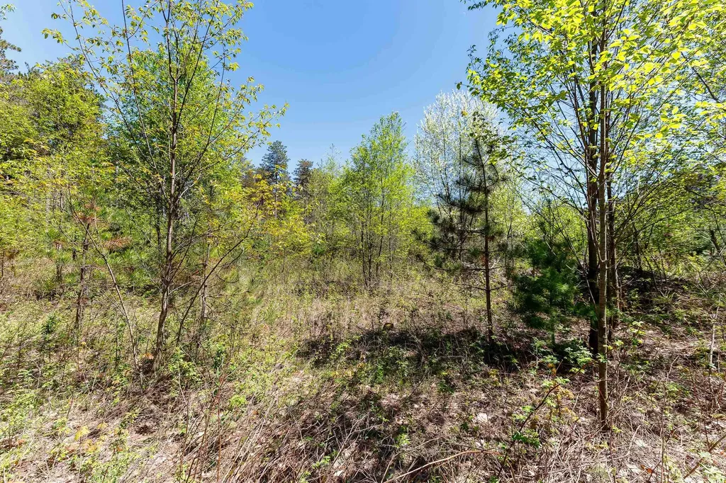 3219 Nugent Road Blaine Township MI 49635