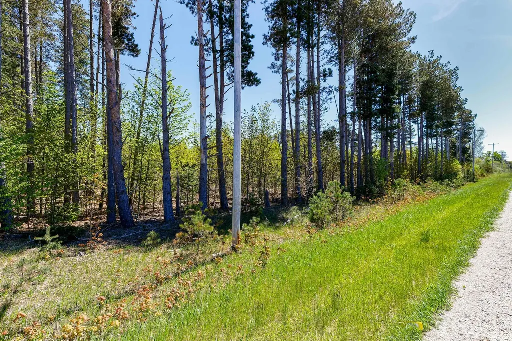 3219 Nugent Road Blaine Township MI 49635