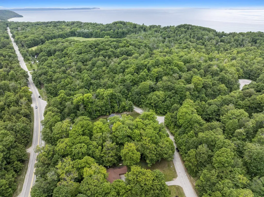 3862 N Trillium Drive Leland Township MI 49654