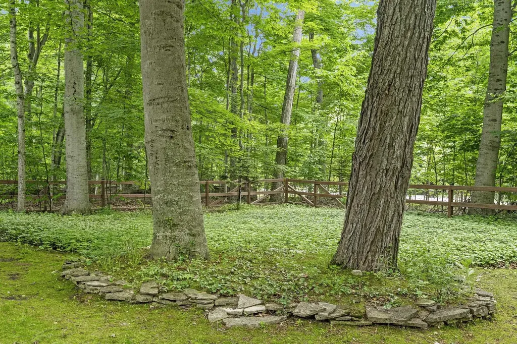 3862 N Trillium Drive Leland Township MI 49654