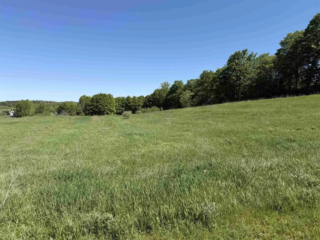 E John Michael Drive Suttons Bay Township MI 49682
