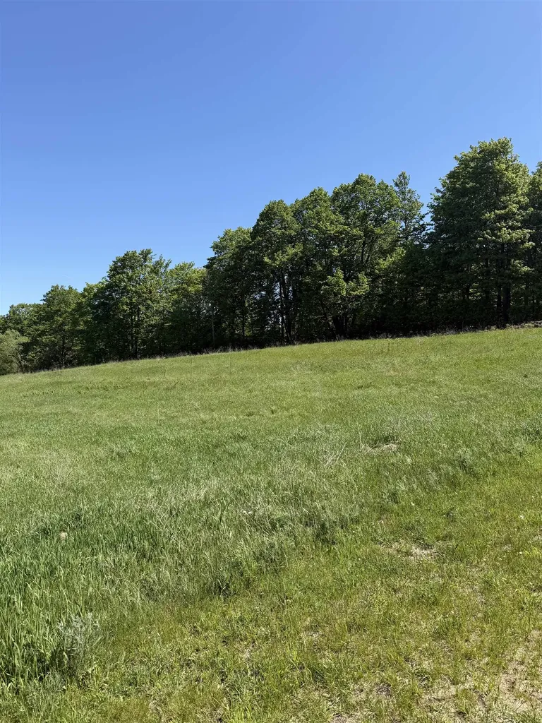 E John Michael Drive Suttons Bay Township MI 49682