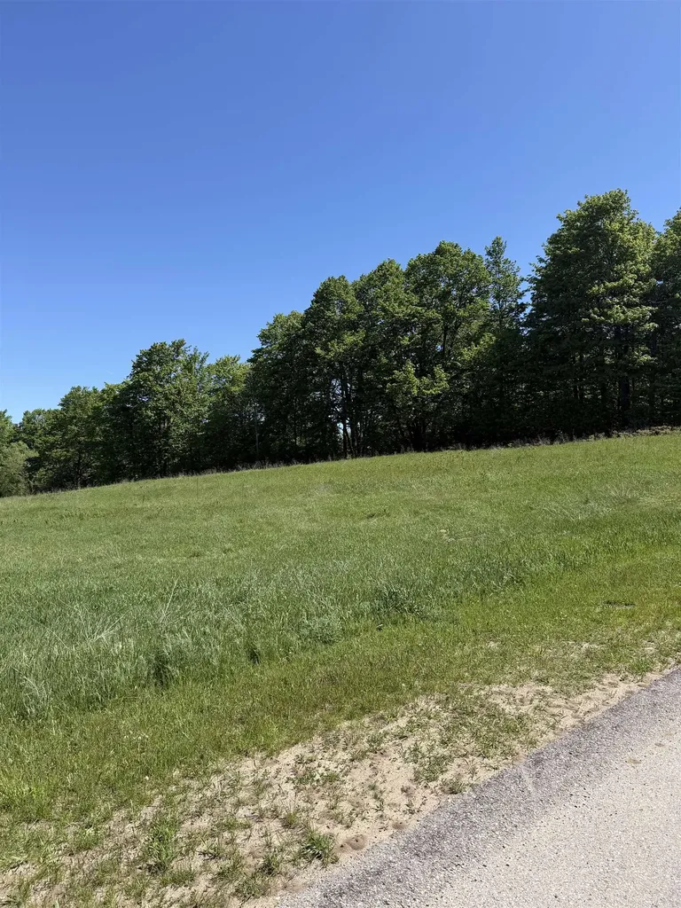 E John Michael Drive Suttons Bay Township MI 49682