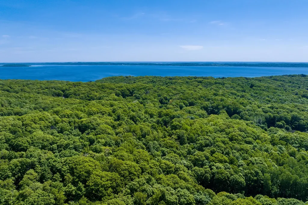 10520 S Dalzell Road Elmwood Charter Township MI 49684