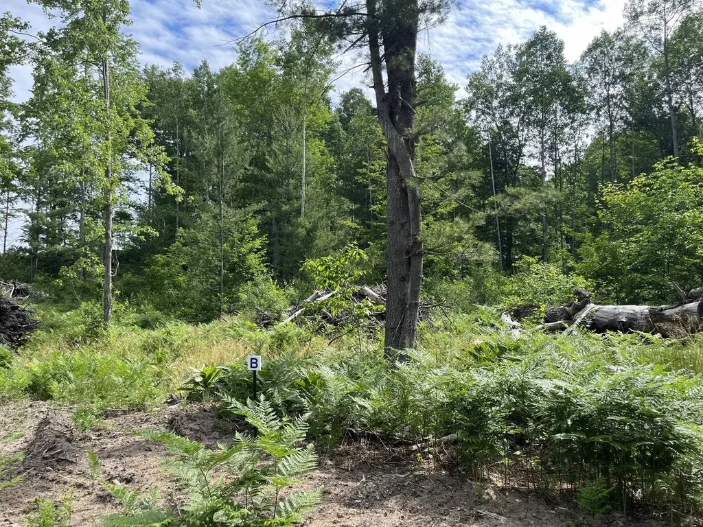 Parcel B Hoosier Flats Road Blair Township MI 49685