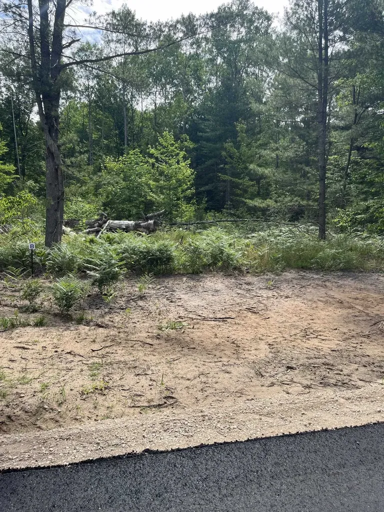 Parcel B Hoosier Flats Road Blair Township MI 49685