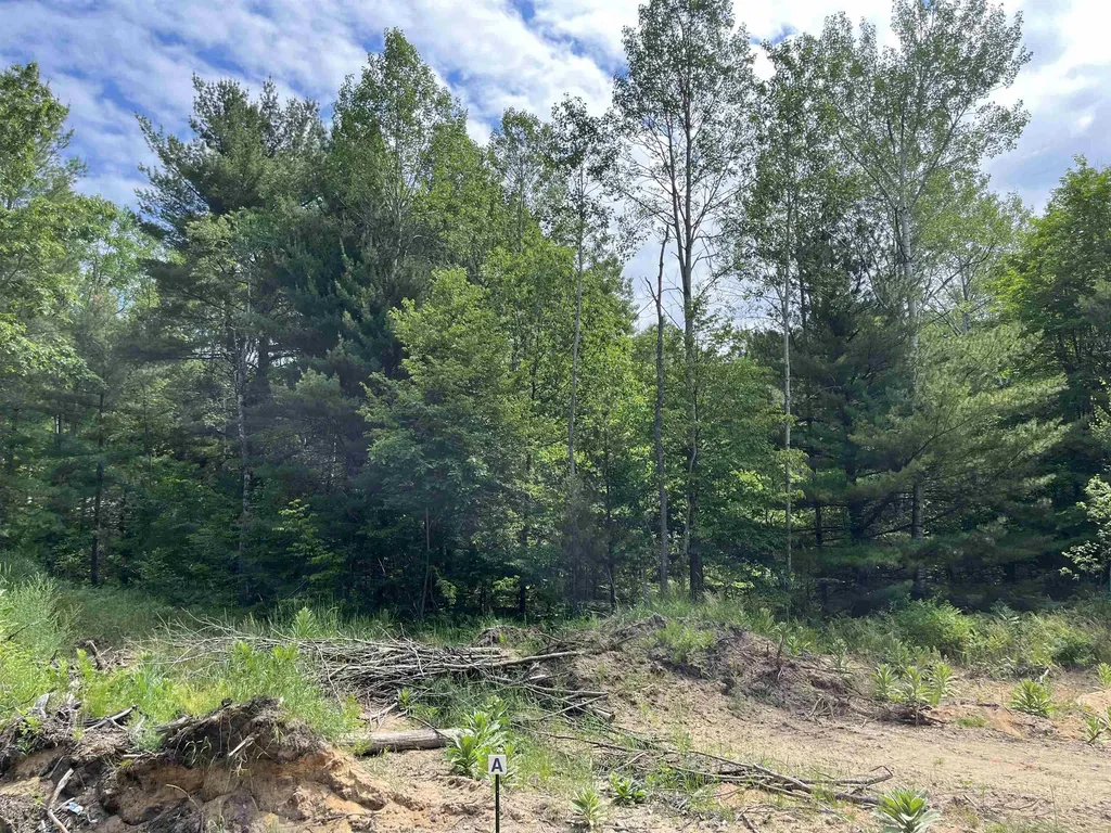 Parcel A Hoosier Flats Road Blair Township MI 49685