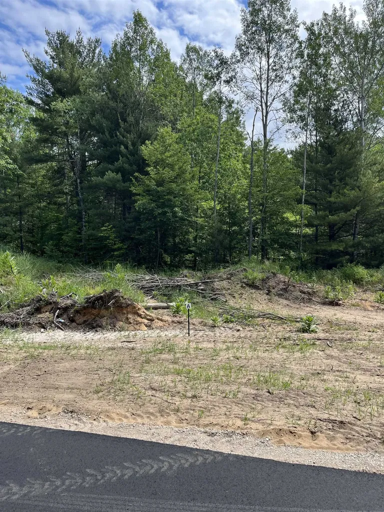 Parcel A Hoosier Flats Road Blair Township MI 49685