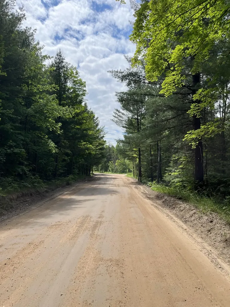 Parcel A Hoosier Flats Road Blair Township MI 49685